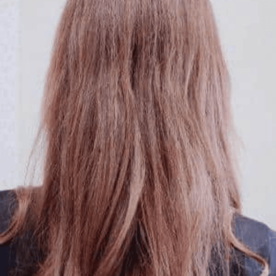profile-img 