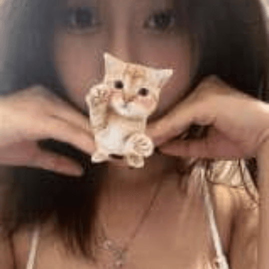 店舗イメージ